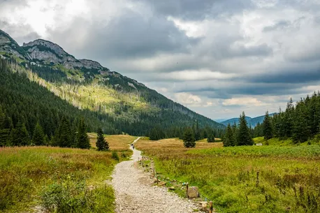 A hiker on a mountain trail